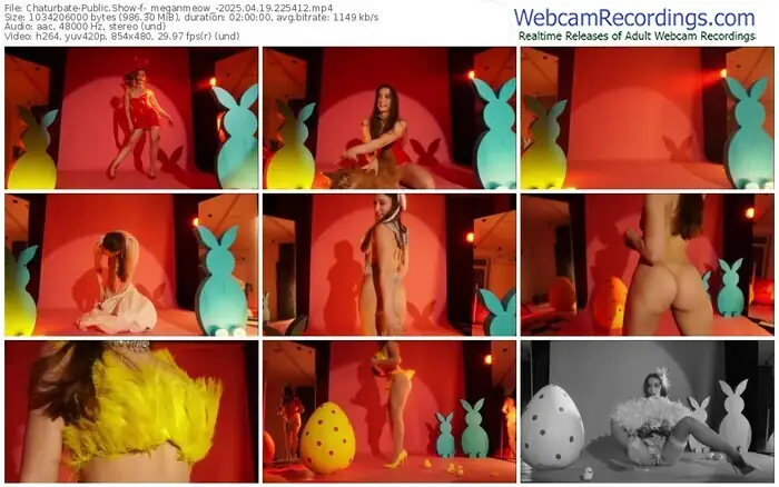 2025/04/19/chaturbate-_meganmeow_-22-54-12