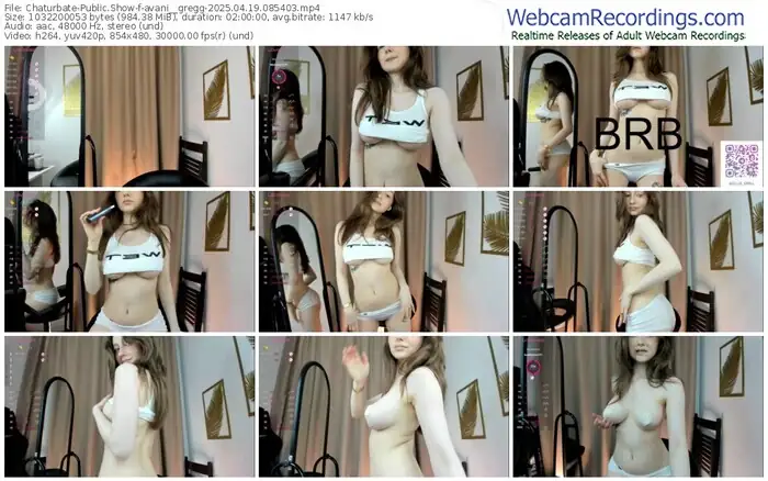2025/04/19/chaturbate-avani__gregg-08-54-03
