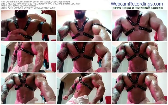 2025/04/19/chaturbate-adonis_msc-14-16-20