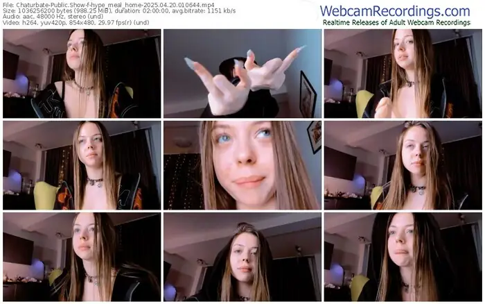 2025/04/20/chaturbate-hype_meal_home-01-06-44