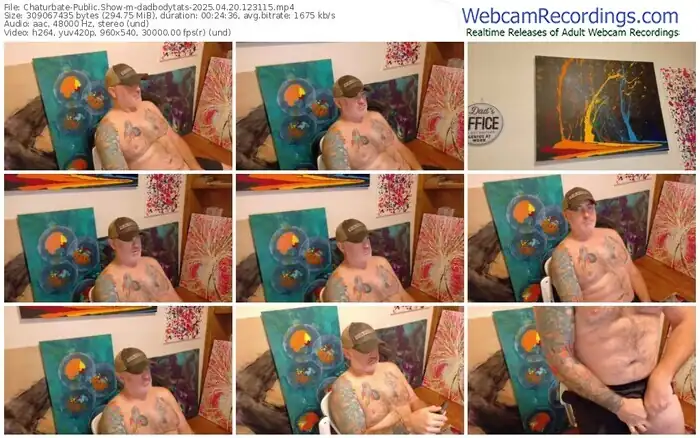 2025/04/20/chaturbate-dadbodytats-12-31-15