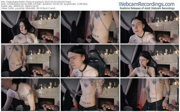 2025/04/20/chaturbate-pantivik-09-00-23