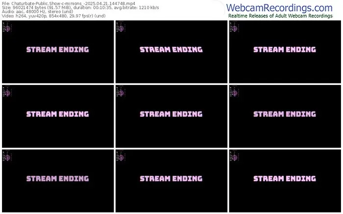 2025/04/21/chaturbate-minions_-14-47-48