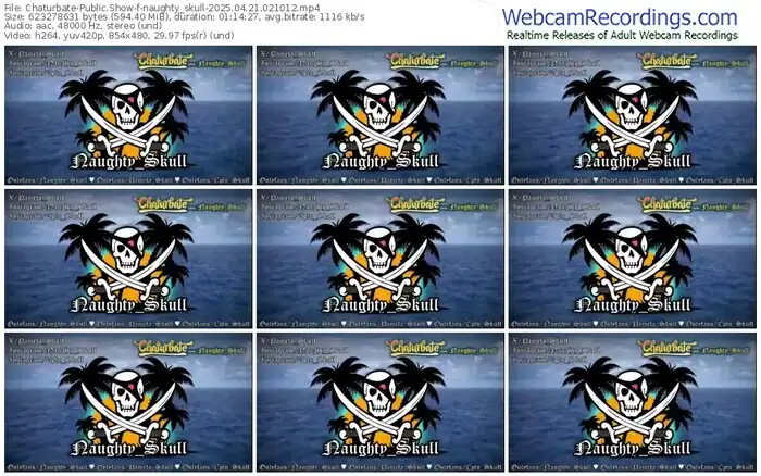 2025/04/21/chaturbate-naughty_skull-02-10-12