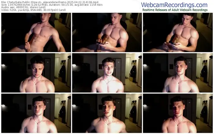 2025/04/22/chaturbate-_alexanderwilliams-21-41-38