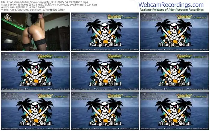 2025/04/23/chaturbate-naughty_skull-20-40-32
