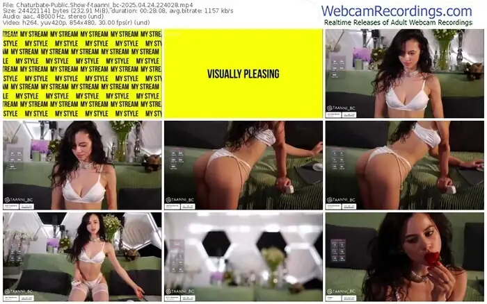 2025/04/24/chaturbate-taanni_bc-22-40-28