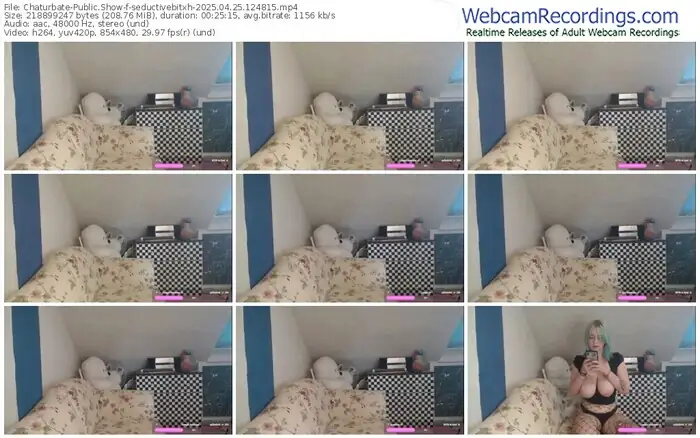 2025/04/25/chaturbate-seductivebitxh-12-48-15
