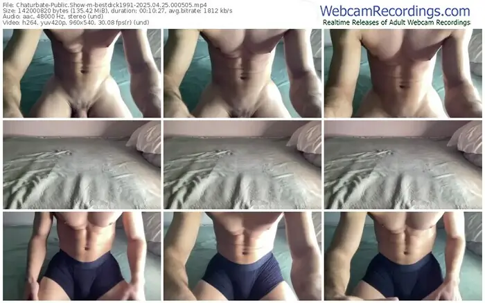 2025/04/25/chaturbate-bestdick1991-00-05-05
