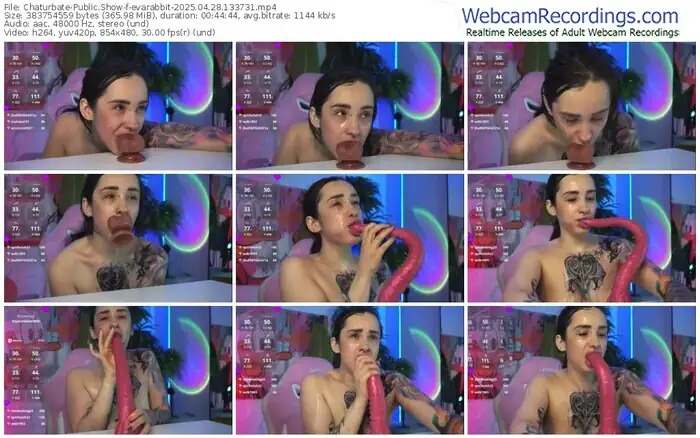 2025/04/28/chaturbate-evarabbit-13-37-31