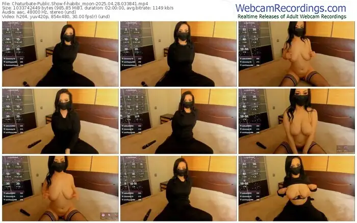 2025/04/28/chaturbate-habibi_moon-03-38-41