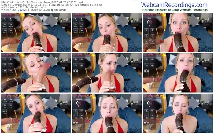 2025/04/28/chaturbate-melenn_-08-38-52