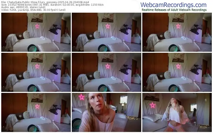 2025/04/29/chaturbate-lucy_gooosey-23-40-08