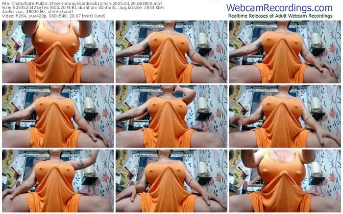 2025/04/29/chaturbate-alwayshardcock11inch-09-38-00