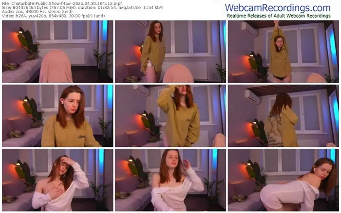 2025/04/30/chaturbate-toxl-19-41-12