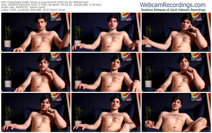 2025/04/30/chaturbate-waynenorth-18-58-30