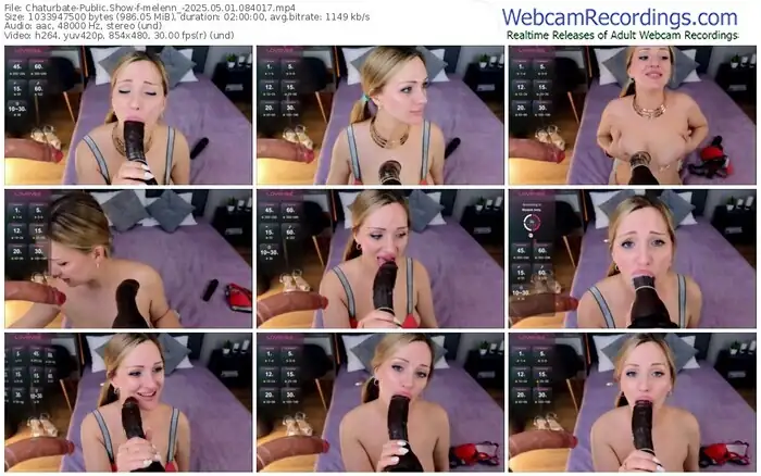 2025/05/01/chaturbate-melenn_-08-40-17