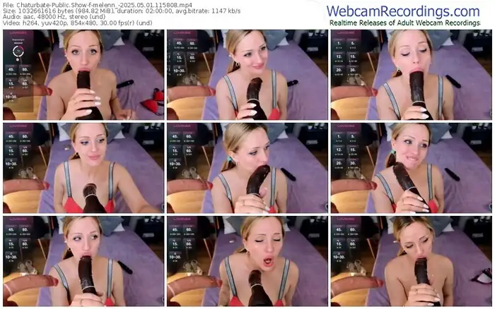 2025/05/01/chaturbate-melenn_-11-58-08