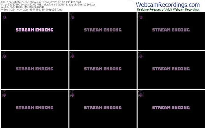 2025/05/02/chaturbate-minions_-13-54-27