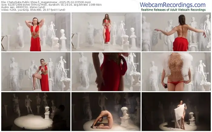 2025/05/02/chaturbate-_meganmeow_-21-55-00