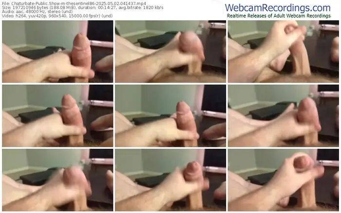 2025/05/02/chaturbate-thesentinel86-04-14-37