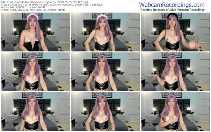 2025/05/03/chaturbate-audreyberryx-00-53-47