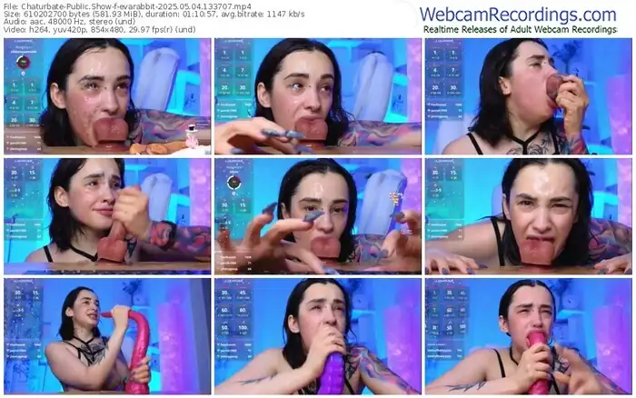 2025/05/04/chaturbate-evarabbit-13-37-07