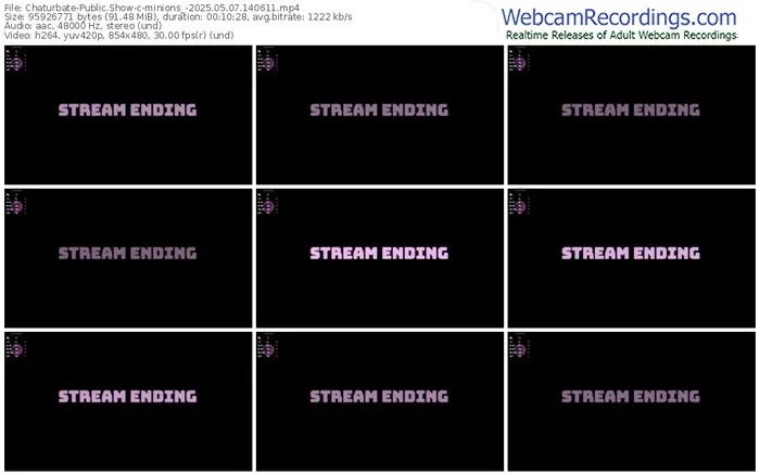 2025/05/07/chaturbate-minions_-14-06-11