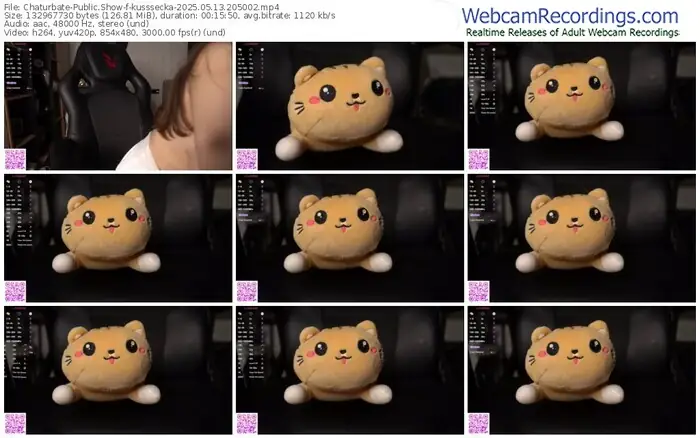 2025/05/13/chaturbate-kusssecka-20-50-02