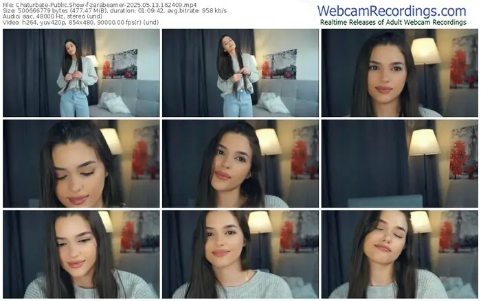 2025/05/13/chaturbate-zarabeamer-16-24-09