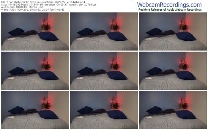 2025/05/14/chaturbate-lucacharm-19-44-44