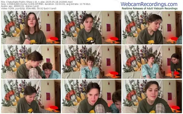 2025/05/18/chaturbate-di_n_alex-14-29-46