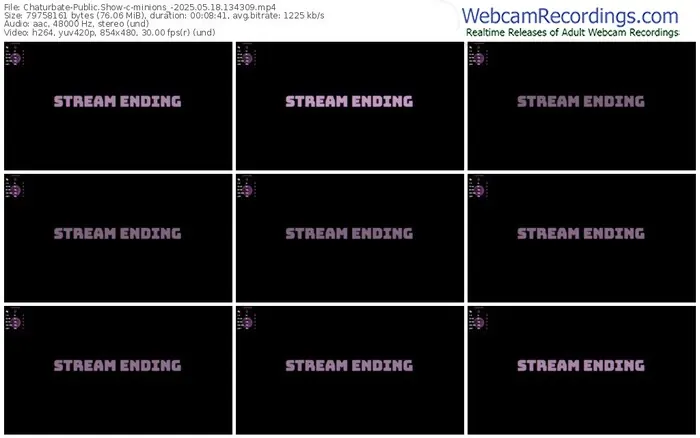 2025/05/18/chaturbate-minions_-13-43-09