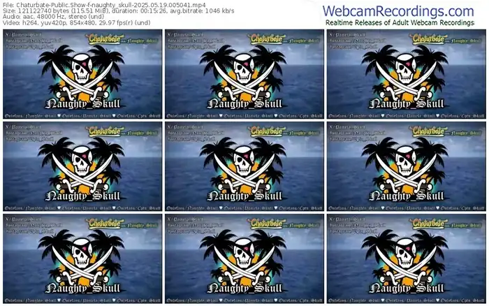2025/05/19/chaturbate-naughty_skull-00-50-41