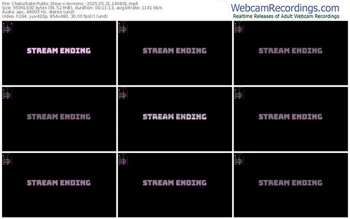 2025/05/21/chaturbate-minions_-14-08-01