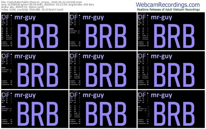 2025/05/22/chaturbate-_mrguy_-22-22-05