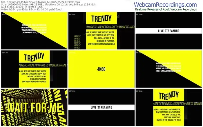 2025/05/24/chaturbate-taanni_bc-06-38-36