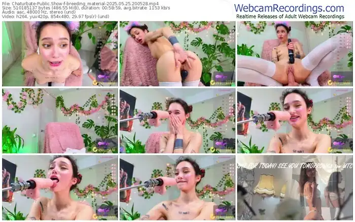 2025/05/25/chaturbate-breeding_material-20-05-28