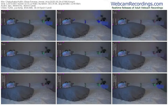 2025/05/26/chaturbate-meow_meow_mia-07-08-18