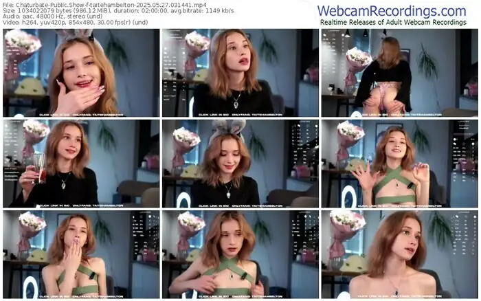 2025/05/27/chaturbate-taitehambelton-03-14-41