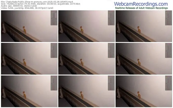 2025/05/28/chaturbate-aronyou_win-18-54-55