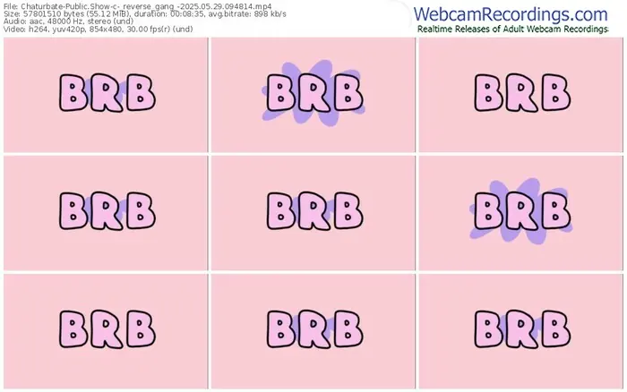 2025/05/29/chaturbate-_reverse_gang_-09-48-14