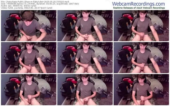 2025/05/29/chaturbate-flakytuber-15-50-20