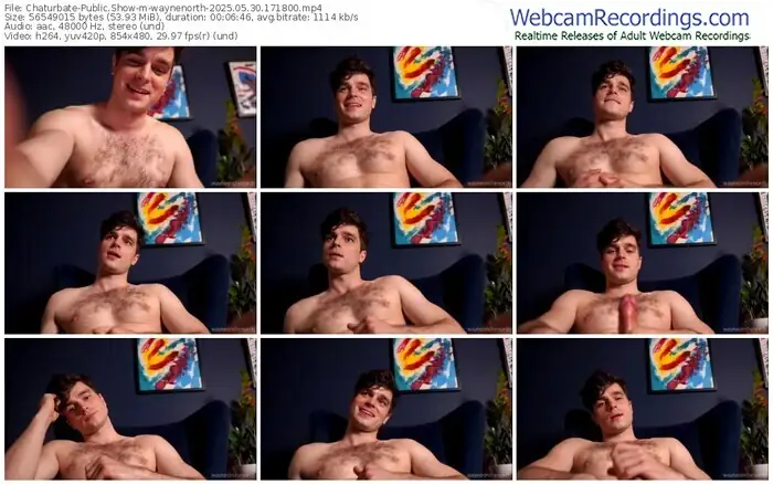 2025/05/30/chaturbate-waynenorth-17-18-00