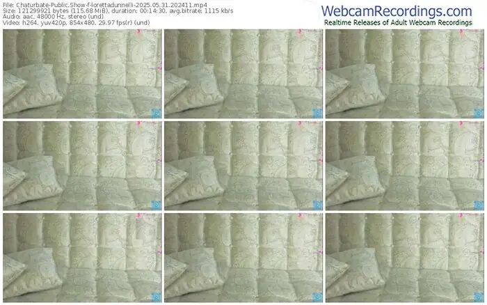 2025/05/31/chaturbate-lorettadunnelli-20-24-11