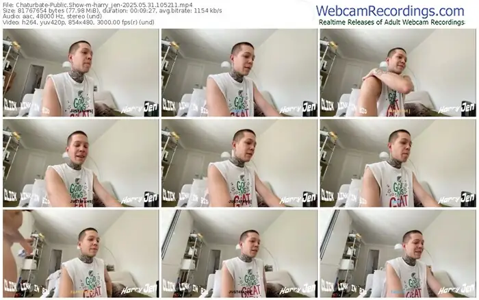 2025/05/31/chaturbate-harry_jen-10-52-11