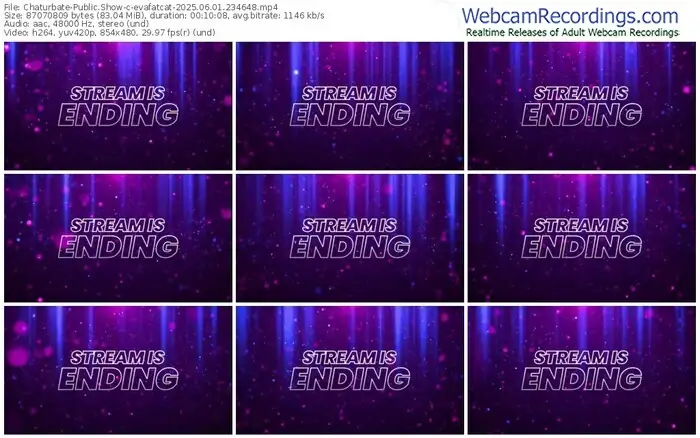 2025/06/01/chaturbate-evafatcat-23-46-48