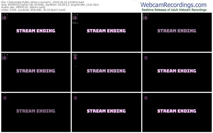 2025/06/02/chaturbate-minions_-13-28-14