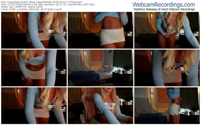 2025/06/02/chaturbate-alex499990-17-25-18