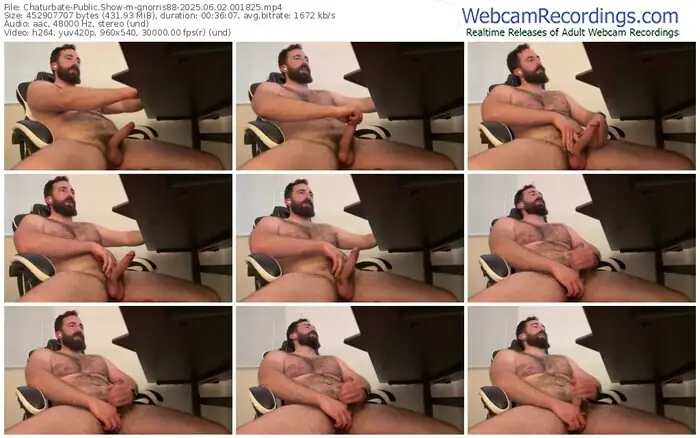 2025/06/02/chaturbate-gnorris88-00-18-25